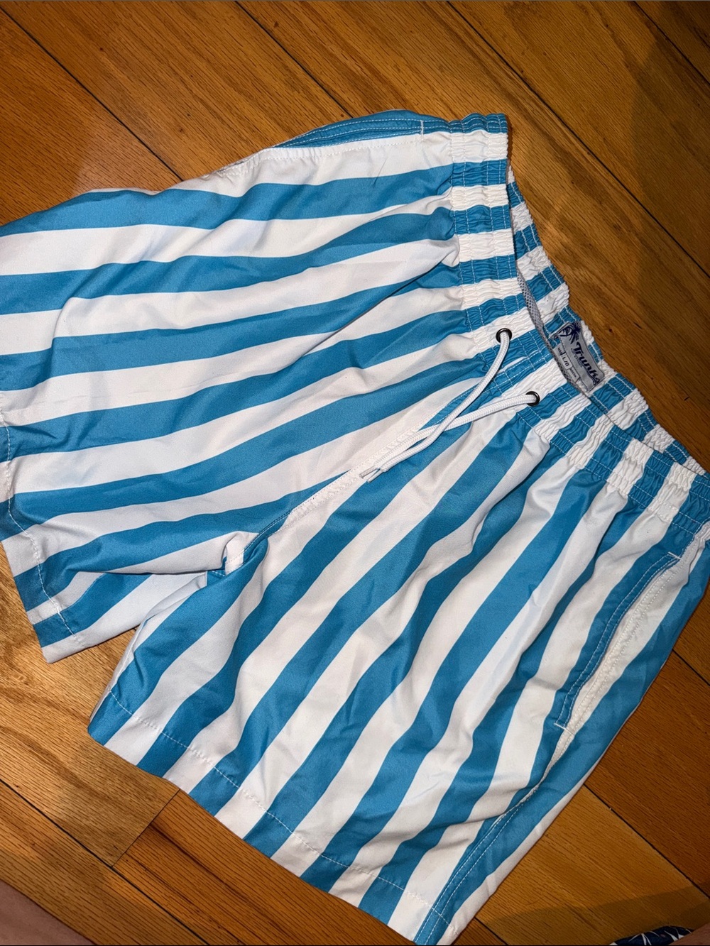 Striped Blue & White Men's Swim Trunks with Elastic Waist
